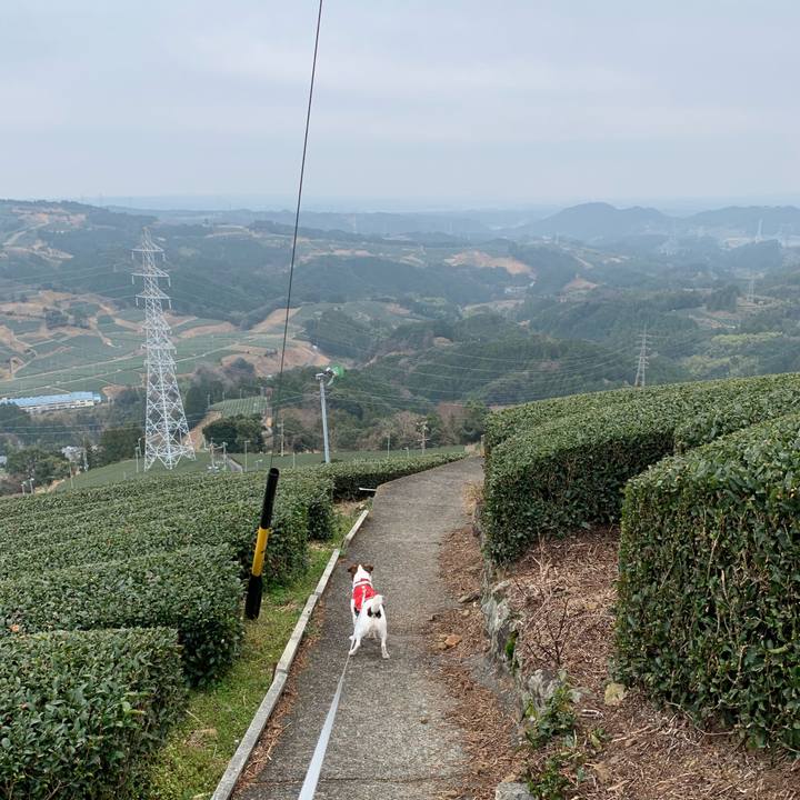 68cde9e4 644c 4afb 8b99 3be257e78722 1581750274103