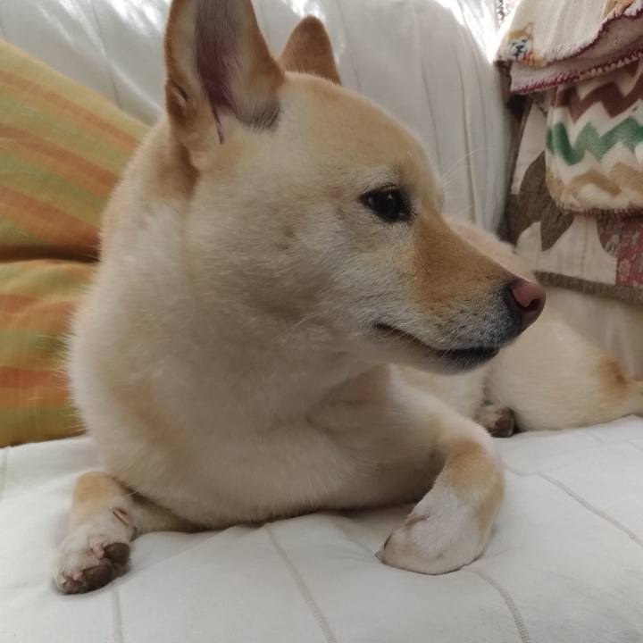 68cdf4f9 2fdd 46a0 a56c b634e61e8846 1559348242478