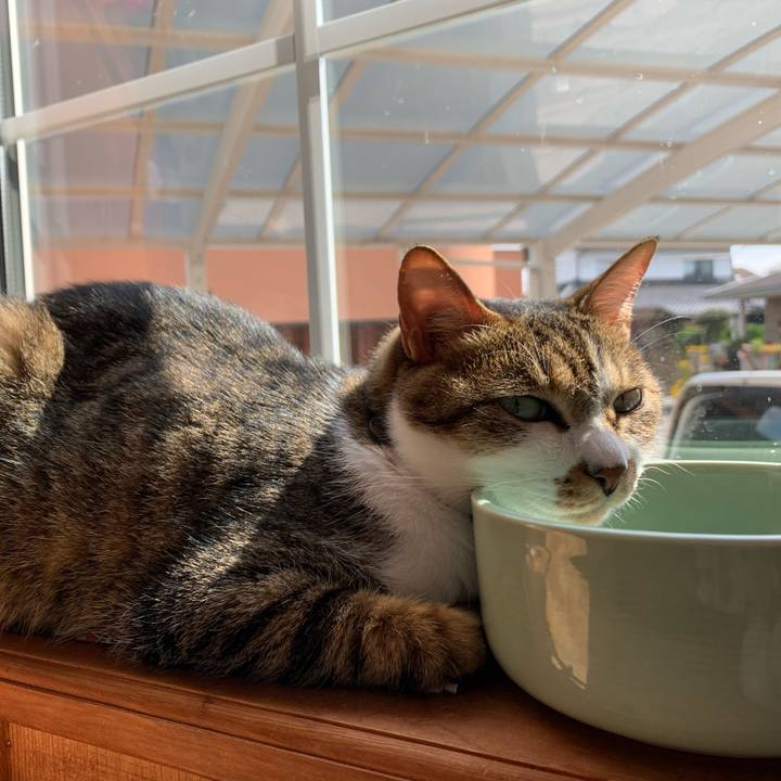 68ce0fa9 73b6 477d bcc0 3b11b85acfe5 1587200933893