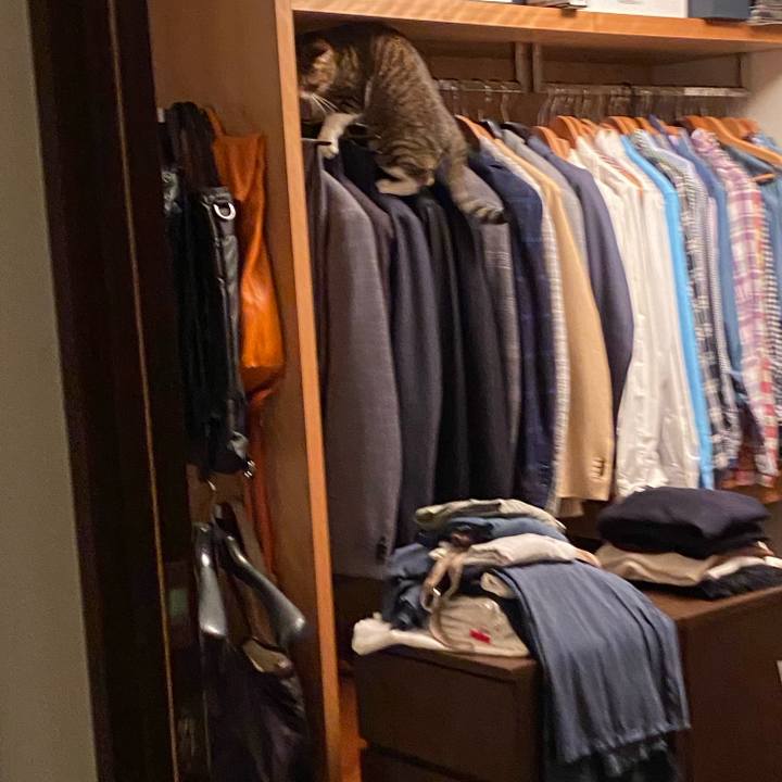 68ce22fd 3ebd 457d 97b4 964c2e861e8f 1605376257565