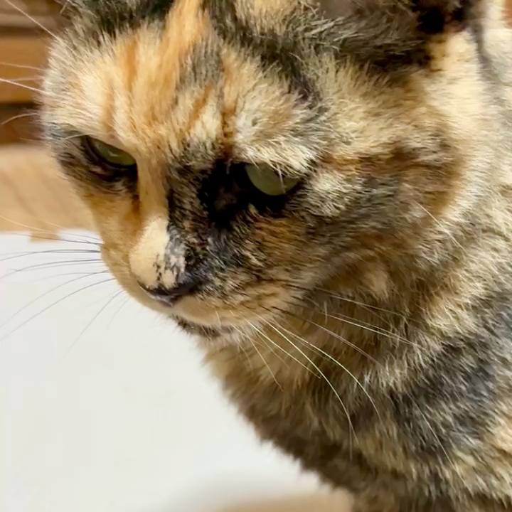 68ce731f 4d86 4290 92be c3ca853127a0 1749330886060