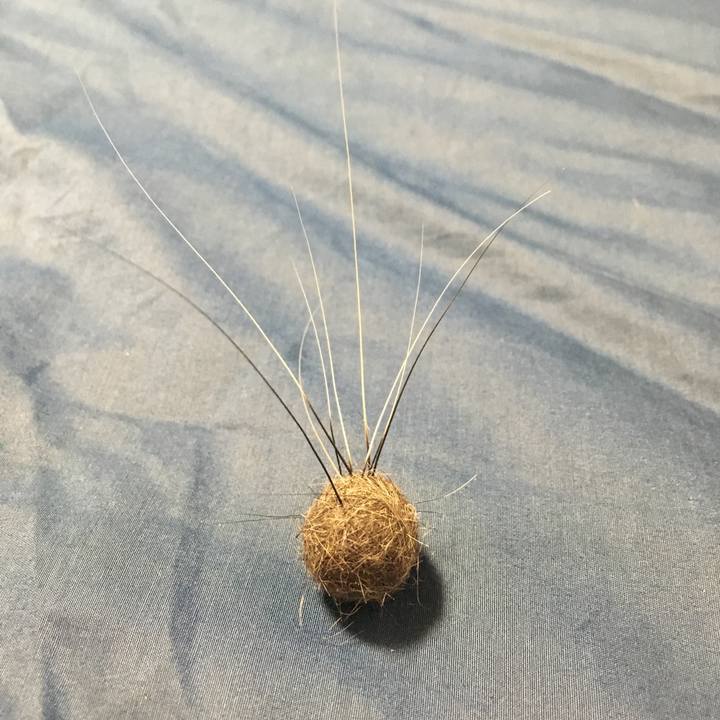 68ceb6d6 1831 4e8f a365 7cdd8b9755a1 1523459630105