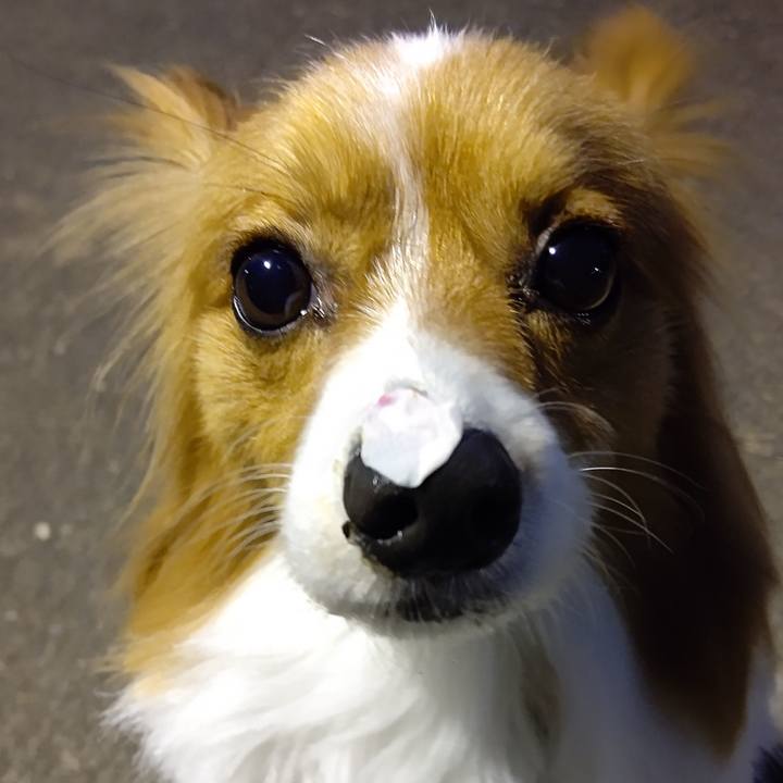 68ceba15 6069 41fa 8de9 00b07126c3b4 1680176160025