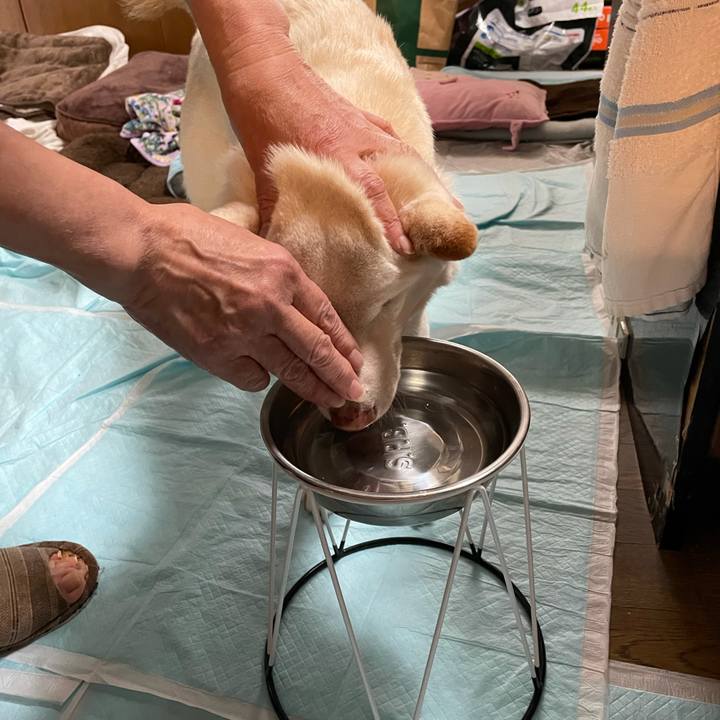 68cf168a b282 48b2 9d17 cf9471dcd8d9 1636266659587