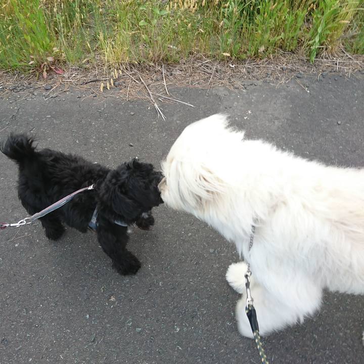 68cf4b38 fdfb 45ea 9275 29e2a9b9df31 1591099010869