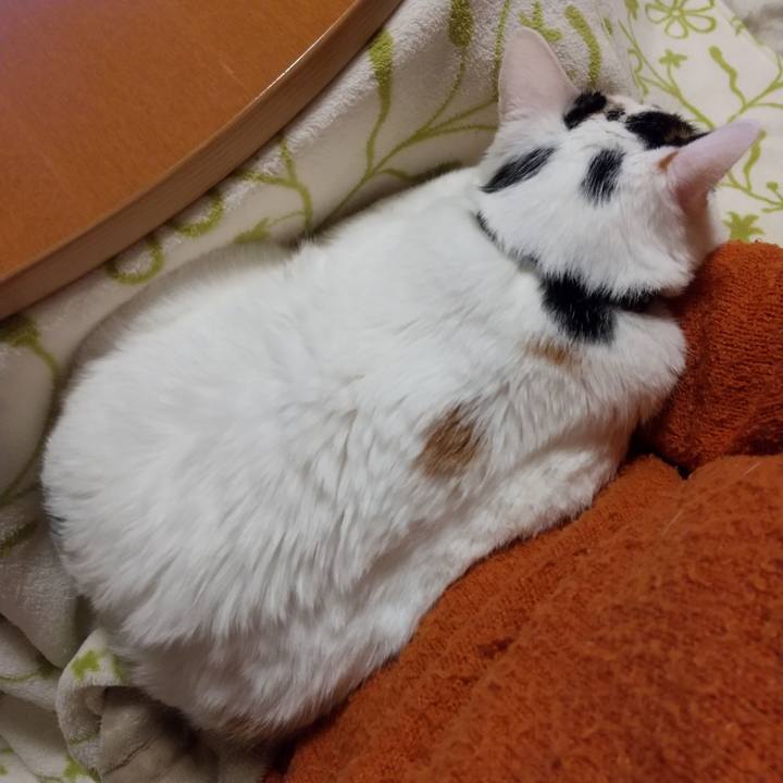 68cf710a 2f24 42a6 8bbb 32be68caaebd 1607950775253