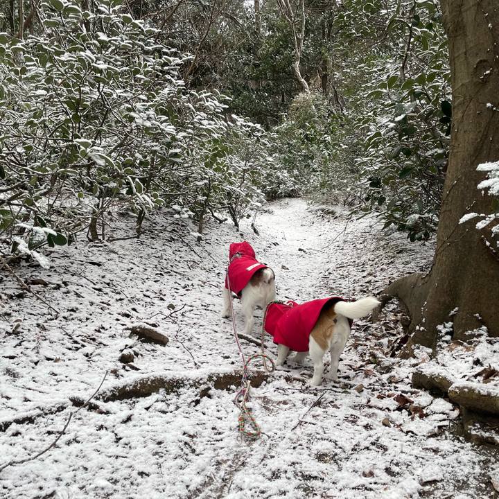 68cf8ff1 b067 4c6b 8a2d f7b452a52f1f 1674257762333