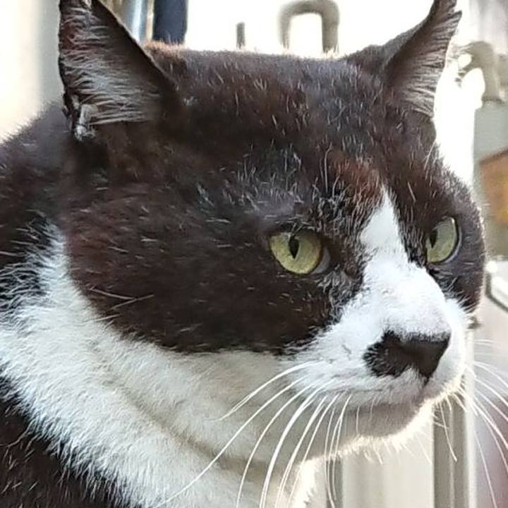 68cf96f0 eacd 424a 9b54 b25078165ad6 1655022014689