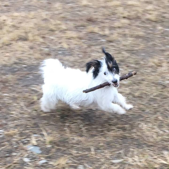 68cf9d8b dbaa 4c11 a5bf ac072e7470b3 1511474384560