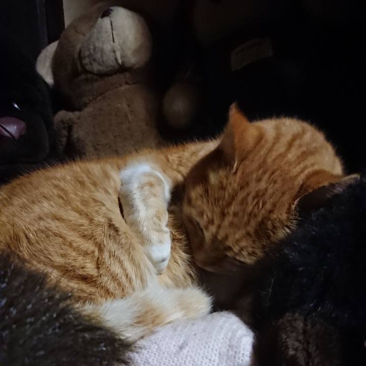 68cfab34 b95d 4304 b997 9bdc332adbf5 1607597160748