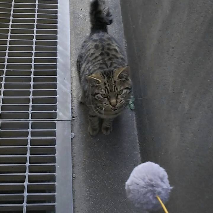 68cfd875 44b6 4719 83c7 5f042114ee03 1554276882174