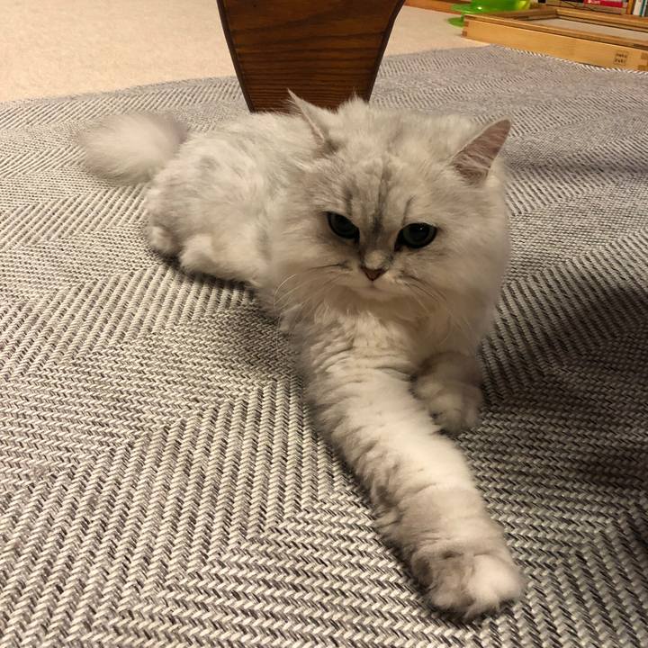 68d00b9a 56e2 4b79 a2b6 bdb427ab44aa 1561209298985