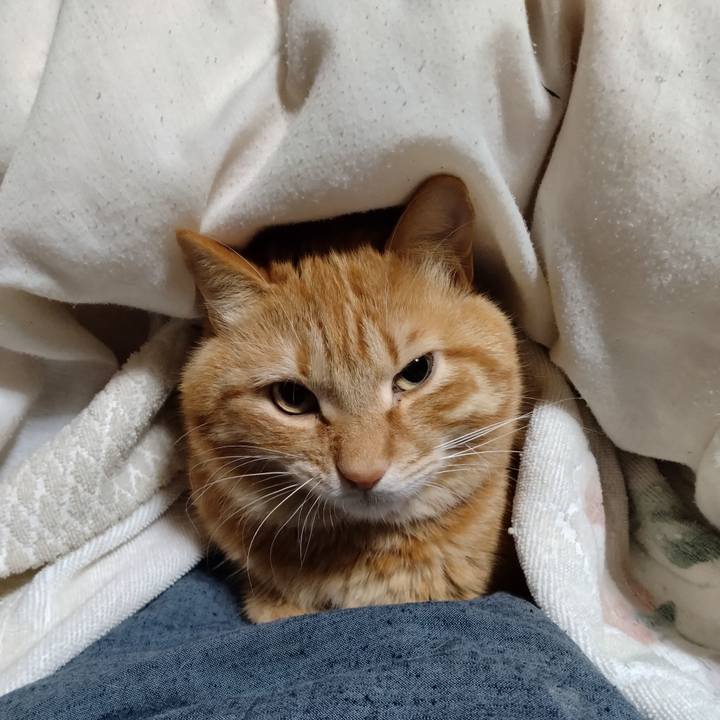 68d06b4a fa95 40ea 9317 1604db7902d7 1710761913268