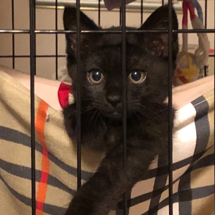 68d0cebc d75e 405a 81a0 a58f8018fef6 1659852218027