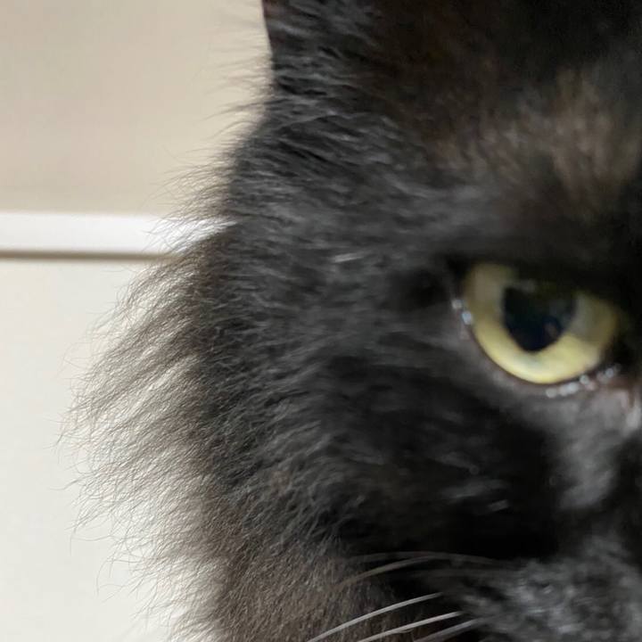 68d10a3f 4bce 4217 8f6e a3fc3ac99269 1581679911219