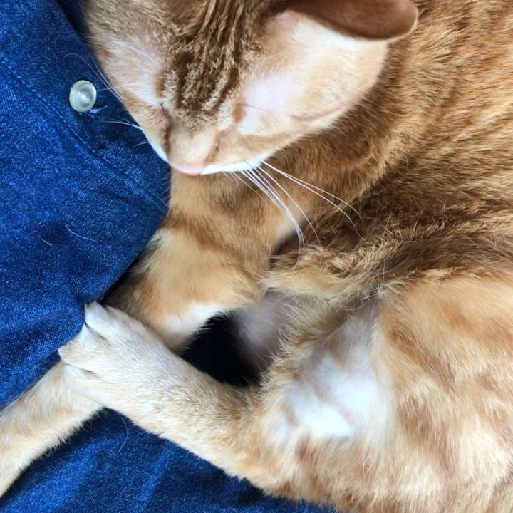 68d10bd7 cd08 4921 a70c 4bf38759ef08 1650760685581