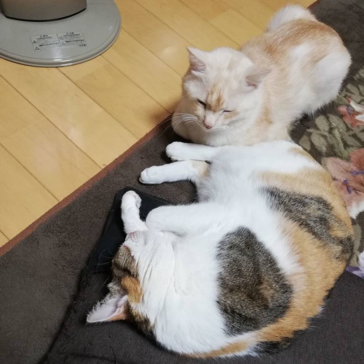 68d10e2d edee 4a58 af3e 2fef54e5aefa 1700088061509