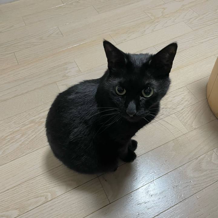 68d12037 da57 42c7 a1d1 c94e416a41e5 1682079918641