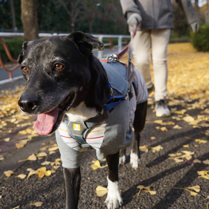 68d12131 a7c4 4421 a123 84b4508c941f 1764376759336