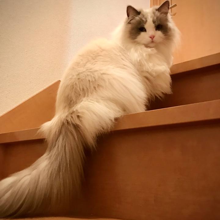 68d12205 0870 4c68 9e88 3d6348c7117e 1581763982459