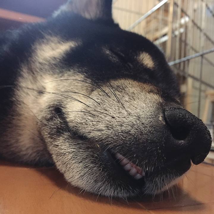 68d14c41 2741 4ac6 ac12 d042e268eb4c 1555508469011