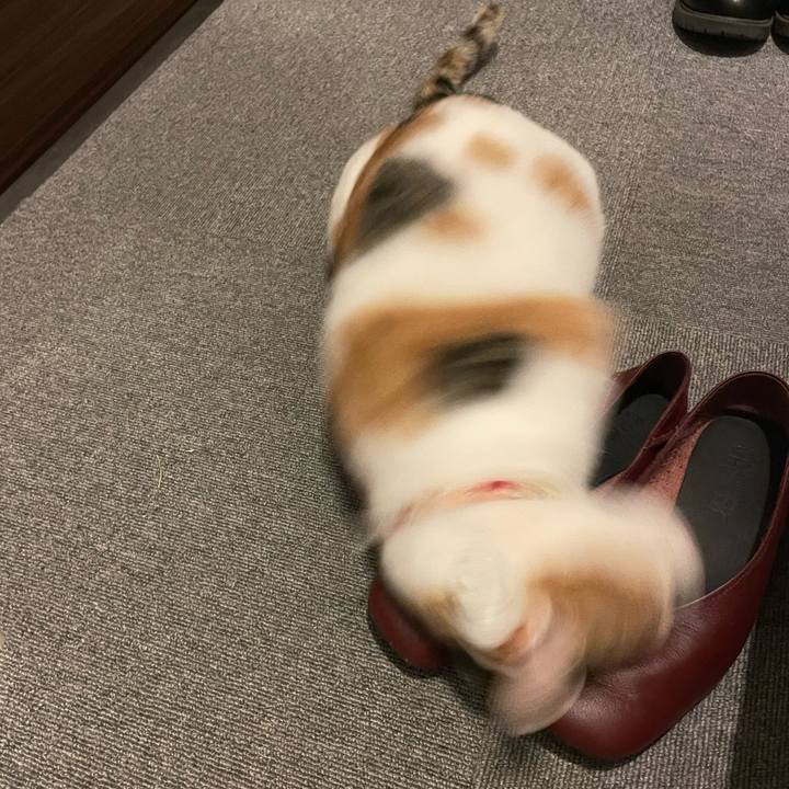 68d1d7ff 6a25 4edb 9e1d 2a351dda0b05 1648814027634