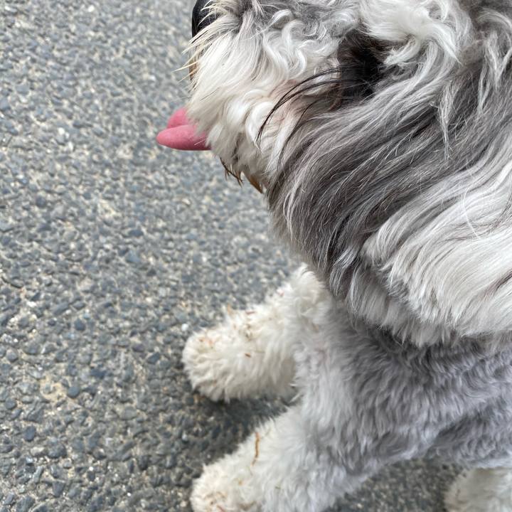 68d1ee5a c595 4616 b4de e28b2b30b00f 1617459041361