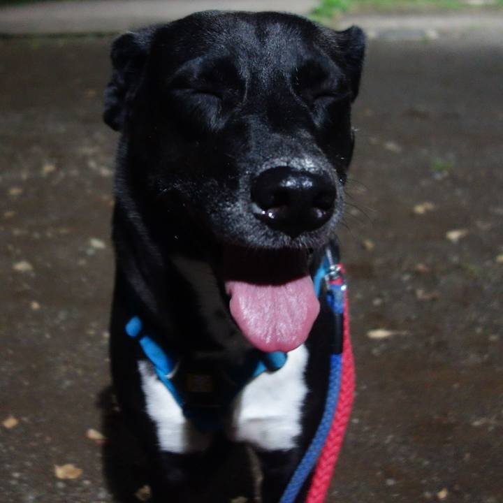 68d21130 97f4 4200 a5f8 bbccbceb9aad 1634209156264