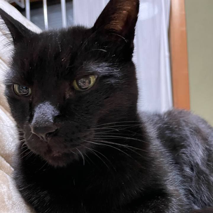 68d2151b 14e7 4e3b 8653 d729b0c17e43 1638656962201