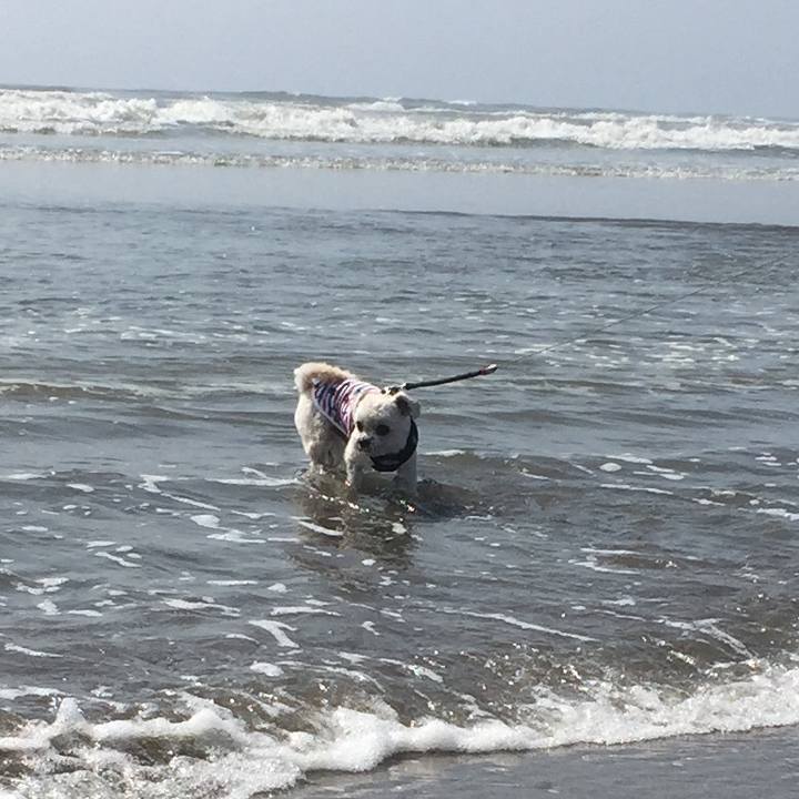 68d22d5f cdef 4667 851d e15db075f4b3 1525135498805