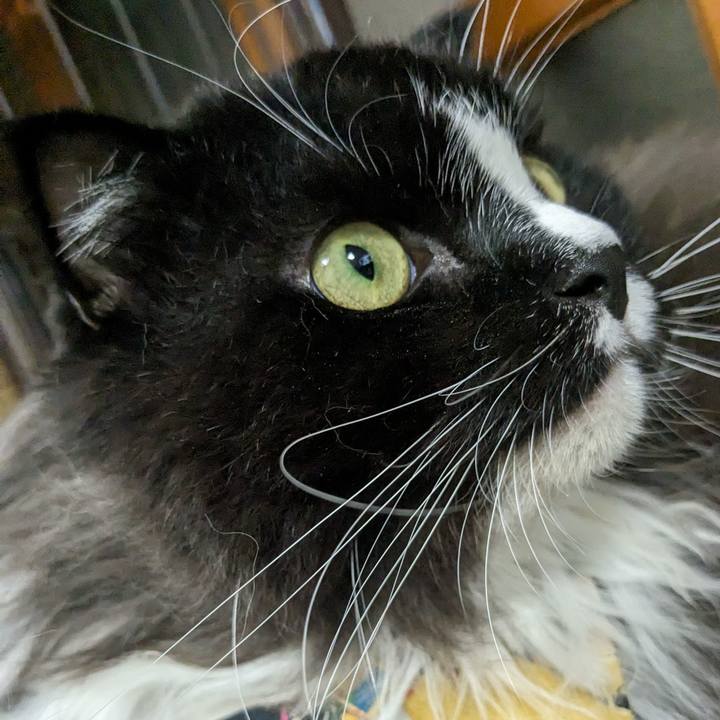 68d231a3 ad9b 4419 8dd9 14f7ff853cd2 1694860141669