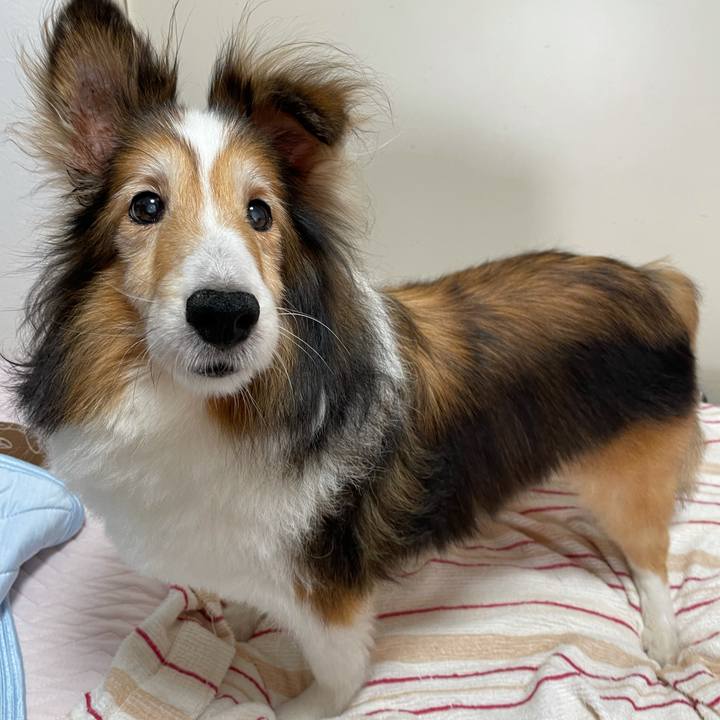 68d237db ff22 4460 a182 0baa9f8cbc68 1626764841989