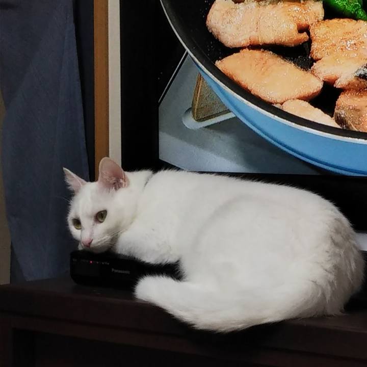 68d252b3 7a5d 4bf7 8040 69f5119ac828 1661907570352