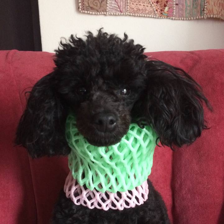 68d25fc3 e660 4332 9921 0bdacf78356b 1530753551769