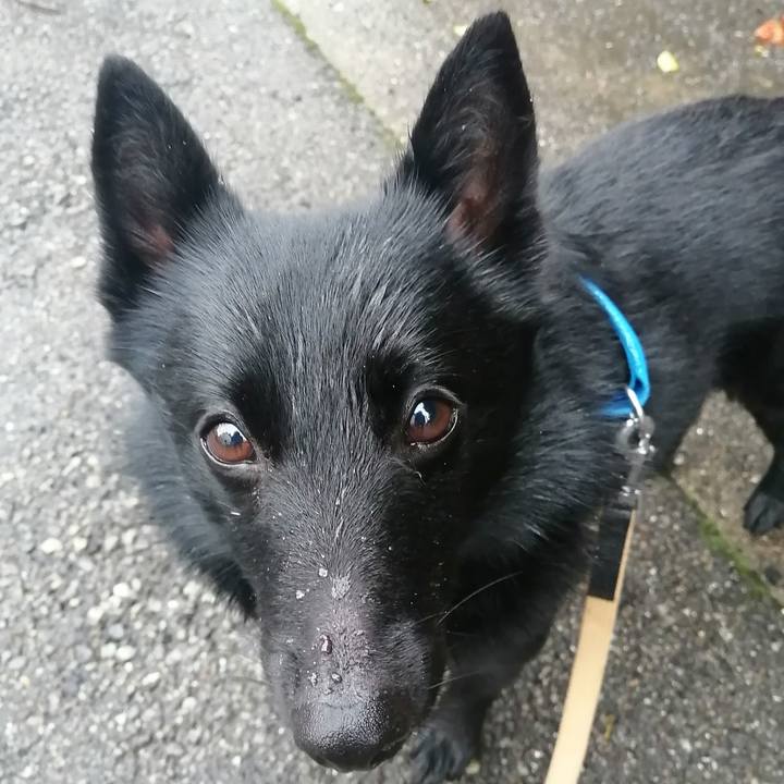 68d2ad4d ff30 4343 93ee 9d804a28662d 1618649612301