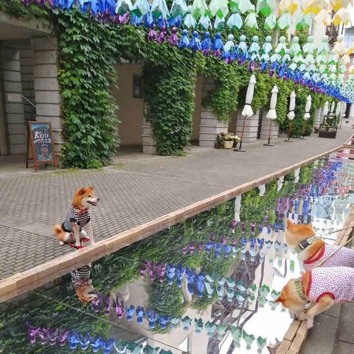 68d2b193 1537 4142 9a9f 80826e556e23 1688874448924