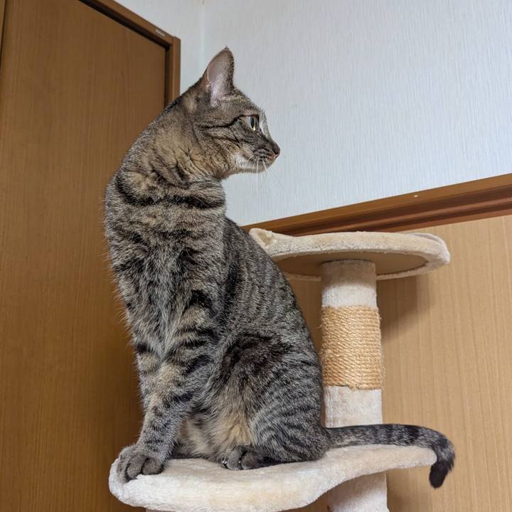 68d2f131 c902 447d 957b f918f57fbf93 1749624061412