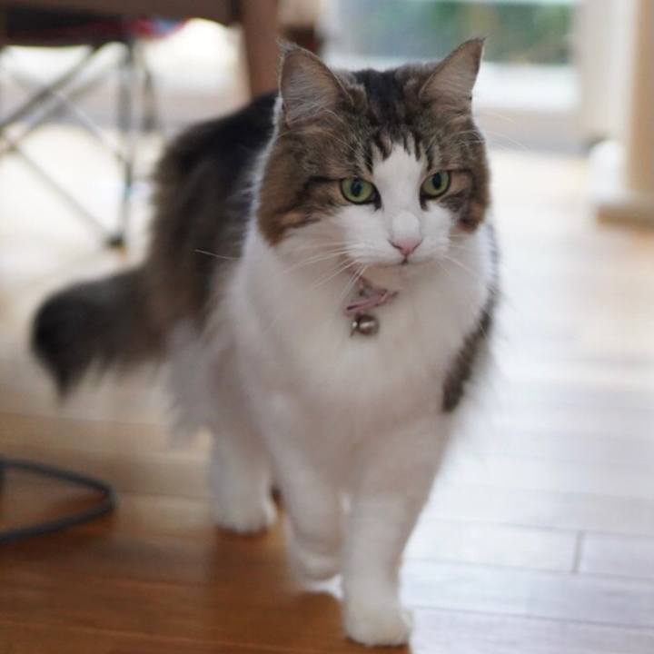 68d30856 6085 492f 9f13 af4cd8240bb3 1635903946704