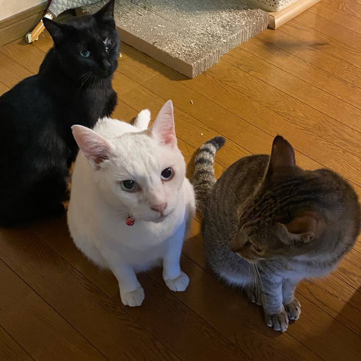 68d3298b 36fc 489c 96a2 c5a95bf9259e 1631596482004