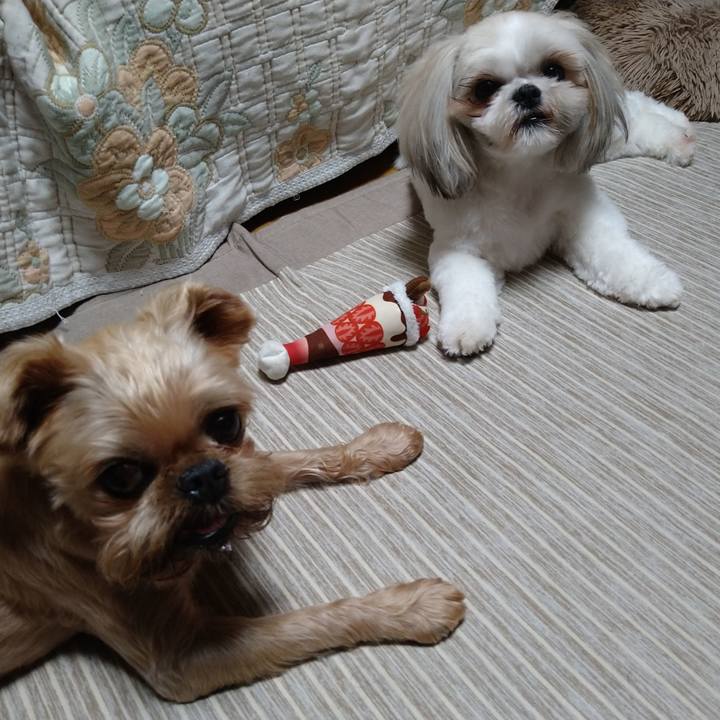 68d3c660 8082 4d24 b088 708514da03b0 1623160684949