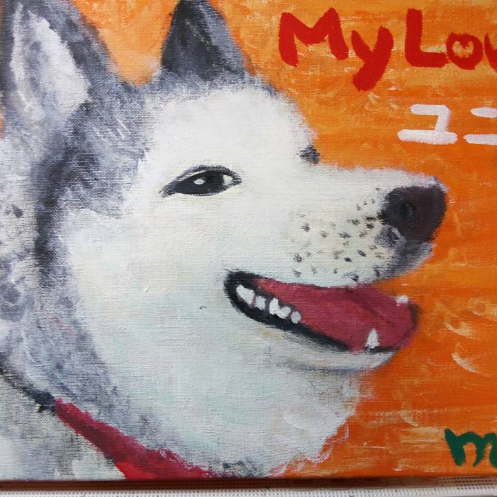 68d3d543 db4d 4d77 82d2 277869d062d1 1509074223208