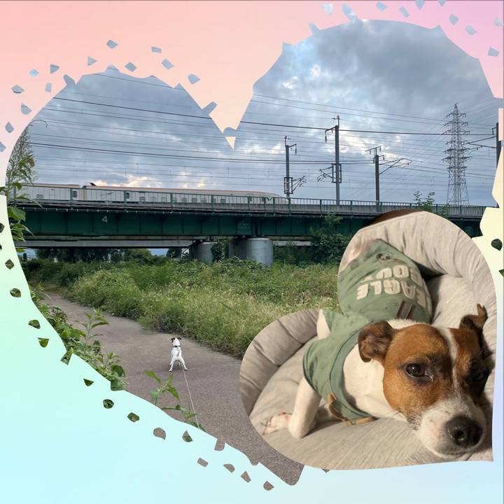 68d3e3be 86a2 4f31 b4be 69b0f4ede732 1694352979493