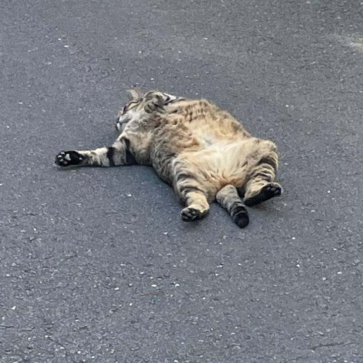 68d43ec8 6545 4f70 bee3 3522f6745a1b 1651654409988