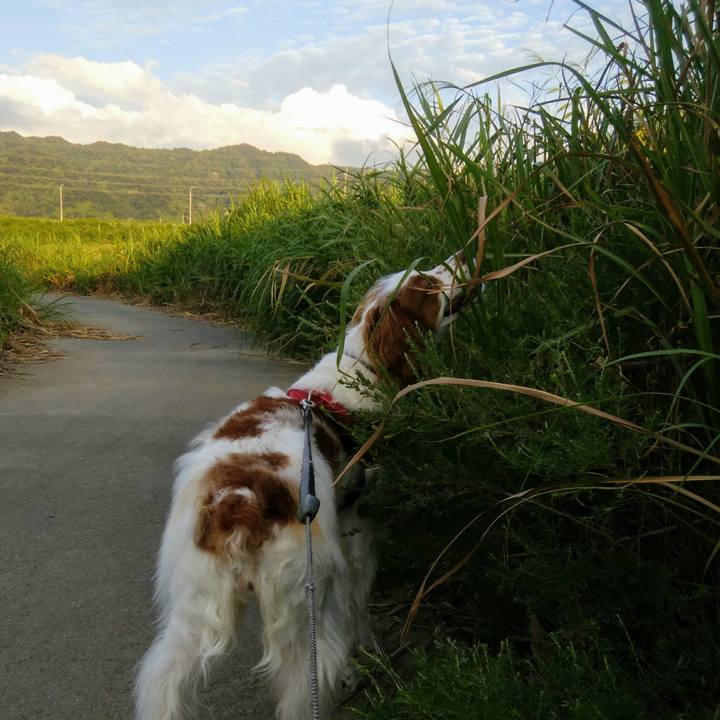 68d44b6c 51f5 4c46 86c9 6ed7f4f795bb 1535976564198