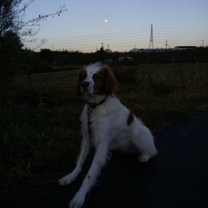 68d4730a 05db 49cb b498 4e94cee697a4 1512432265101