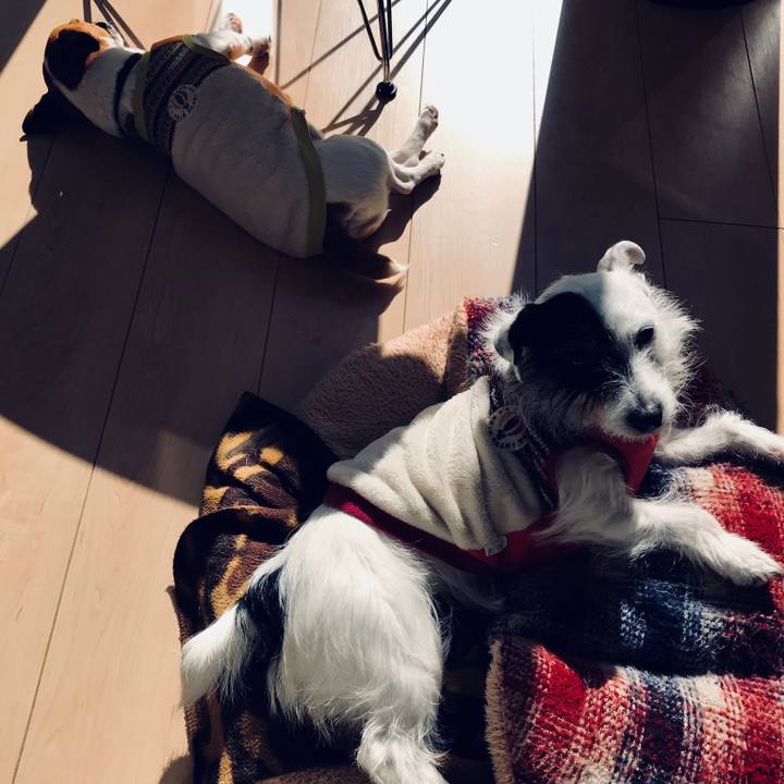 68d483df 0a6b 412d 9faa 41915e556fd6 1517285822059