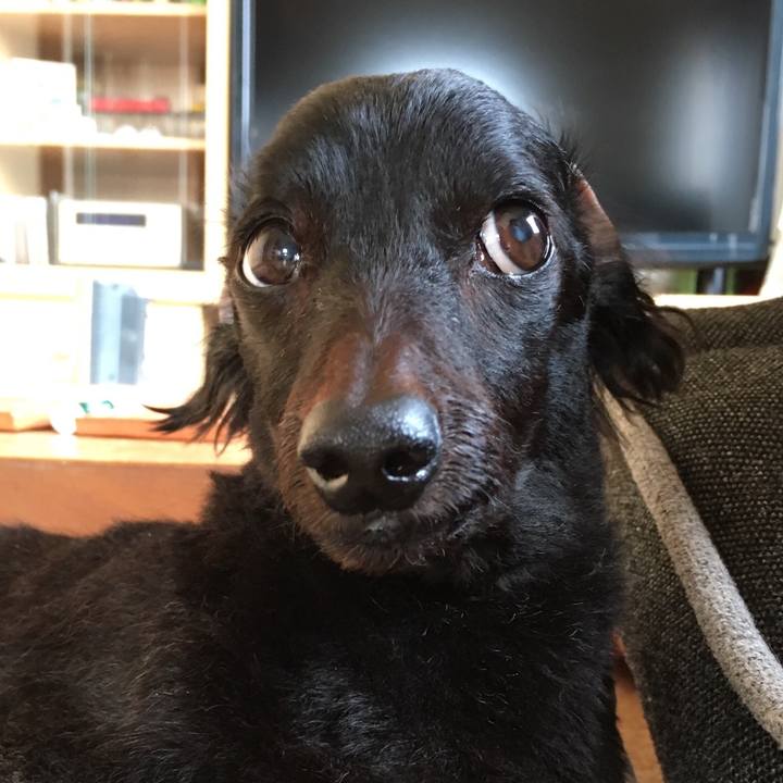 68d4b4bd e81b 49b7 bcb9 22605c94174f 1524003718149