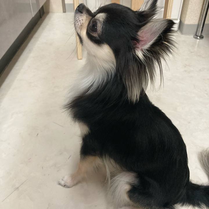 68d4cef9 20f6 4e88 b480 c5936ef233d7 1613835351285