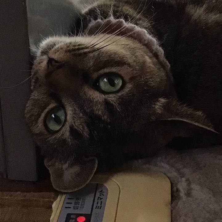 68d4f2a9 a9e6 466b a006 d6402b48ba17 1664862390765