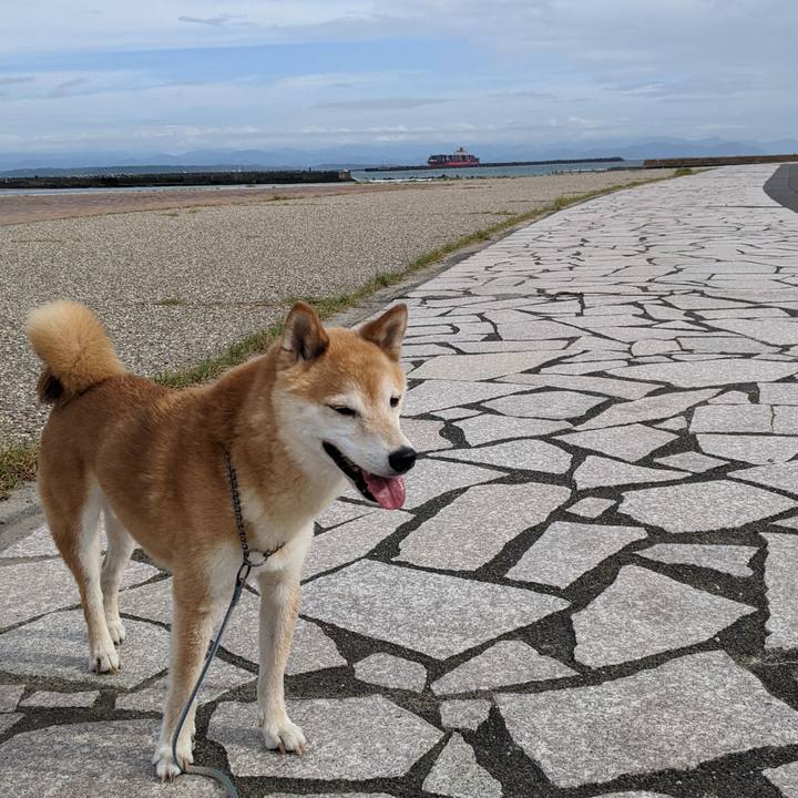 68d5234f e2ee 4de7 bbf4 6ee94feae83b 1693444702319